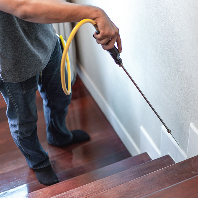 Person using a pesticide sprayer on wooden stairs, focusing on the baseboards. The scene is orderly, suggesting careful pest control work.